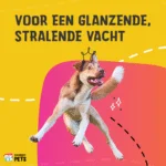 Huile de soin pour la peau des chiens à l’huile de graines de chanvre, 20 ml – Excellent Pets HempOne Oil – Image 4