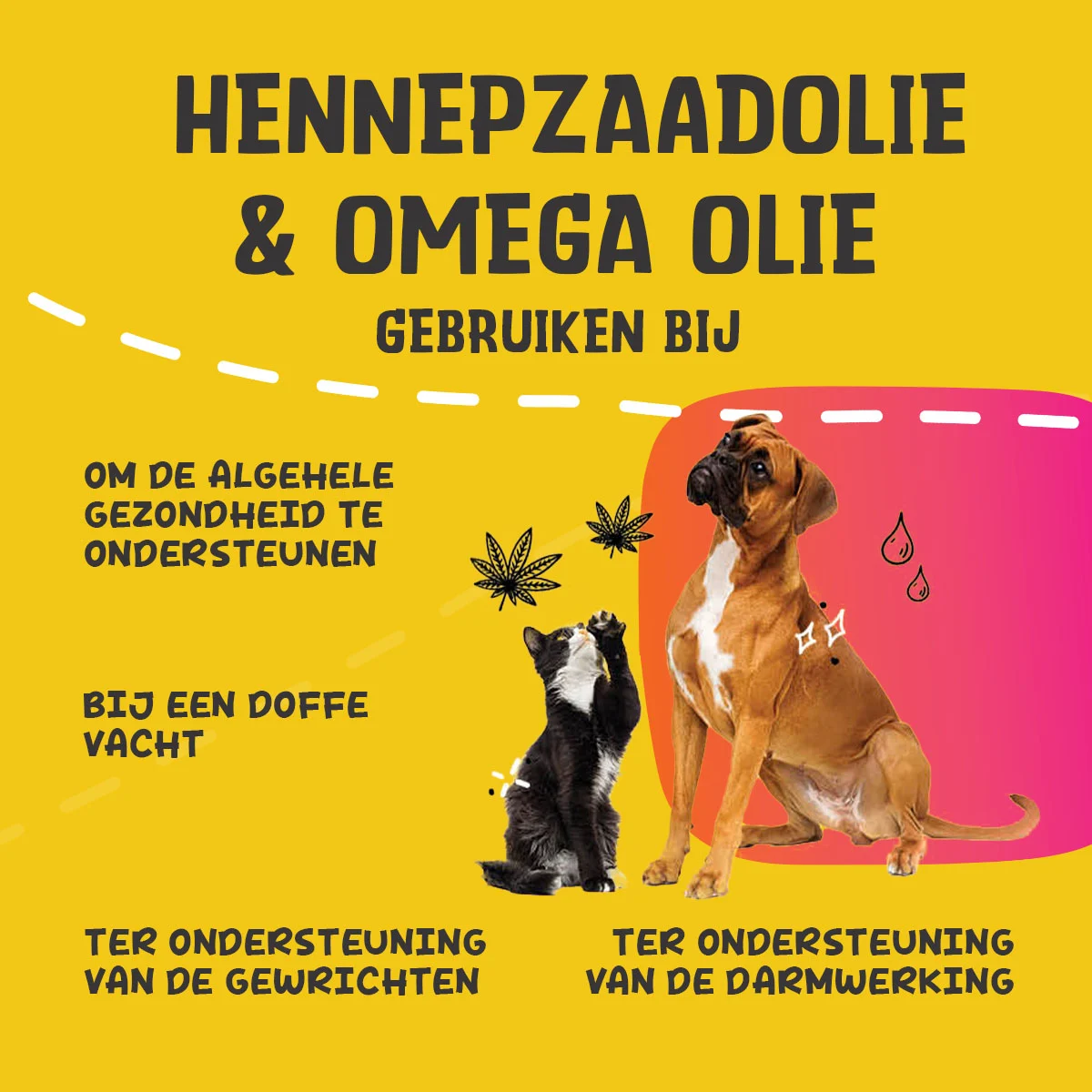 Mélange d’huiles pour chiens et chats à l’huile de graines de chanvre, 100 ml – Excellent Pets HempOne + Omega Oil – Image 2