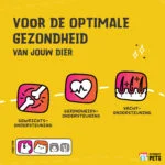 Mélange d’huiles pour chiens et chats à l’huile de graines de chanvre, 250 ml – Excellent Pets HempOne + Omega Oil – Image 3