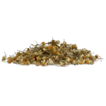 Camomille pour chevaux, pour la détente, 1 kg – Excellent Horse Herbs Camomille – Image 2