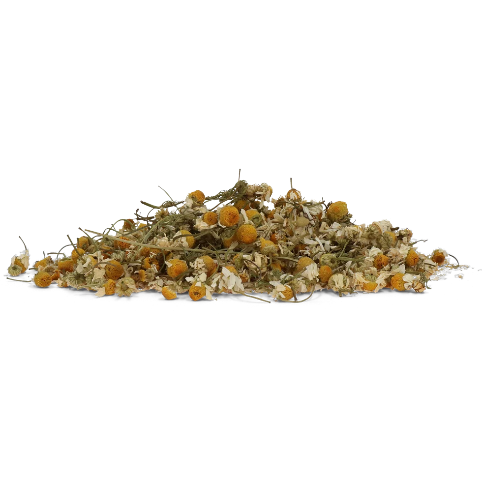 Camomille pour chevaux, pour la détente, 1 kg – Excellent Horse Herbs Camomille – Image 2