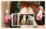 Spray démêlant pour crinière et queue, 500 ml – Excellent Horse Hi Gloss Spray – Image 2