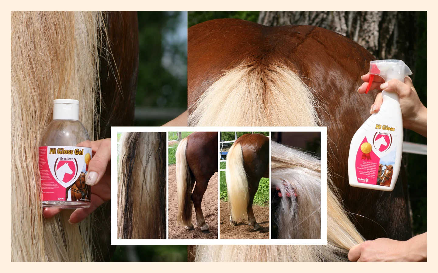 Spray démêlant pour crinière et queue, 500 ml – Excellent Horse Hi Gloss Spray – Image 2