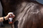 Spray pailleté pour le pelage, la crinière et la queue, 250 ml – Excellent Horse Hi Gloss Glitter Spray Orange – Image 2