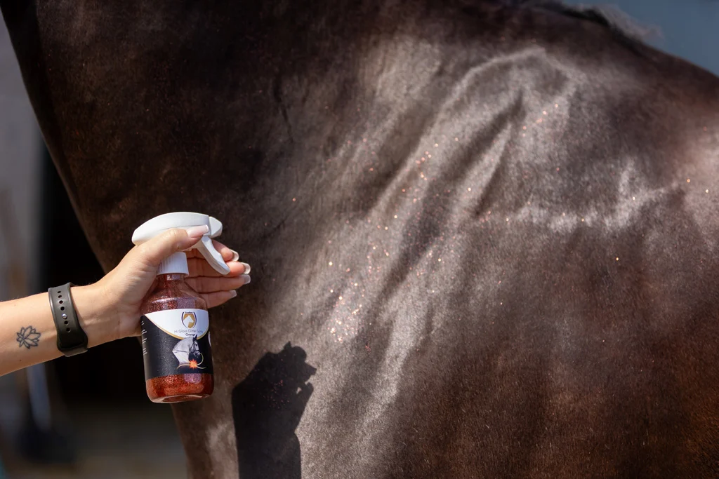 Spray pailleté pour le pelage, la crinière et la queue, 250 ml – Excellent Horse Hi Gloss Glitter Spray Orange – Image 2