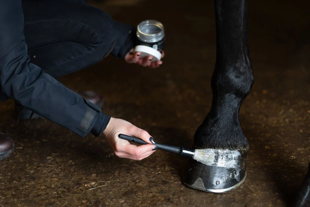 Vernis à sabots pailleté argenté, 150 ml – Excellent Horse Hi Gloss Glitter Hoof Polish – Image 3