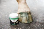 Vernis pailleté vert pour sabots, 150 ml – Excellent Horse Hi Gloss Glitter Hoof Polish – Image 4