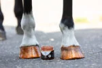 Vernis pailleté orange pour sabots, 150 ml – Excellent Horse Hi Gloss Glitter Hoof Polish – Image 3