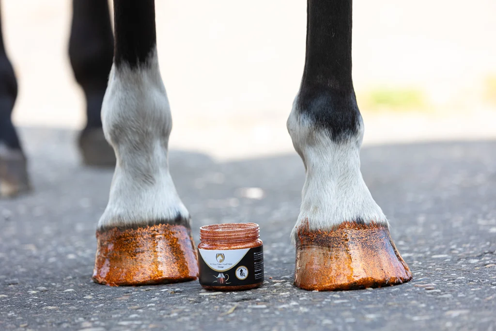 Vernis pailleté orange pour sabots, 150 ml – Excellent Horse Hi Gloss Glitter Hoof Polish – Image 3