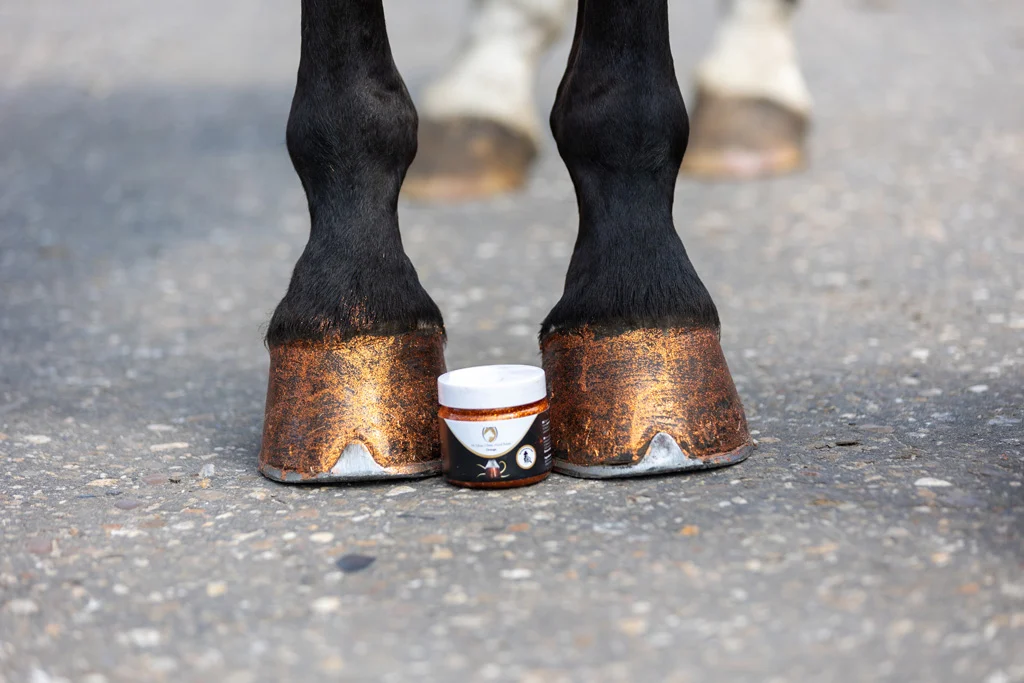 Vernis pailleté orange pour sabots, 150 ml – Excellent Horse Hi Gloss Glitter Hoof Polish – Image 2