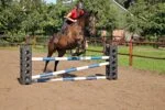 Bloc d’obstacle pour le saut d’obstacles, 41,5 x 30 x 30 cm – Excellent Horse Cube – Image 3