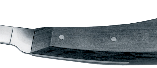 Curette à sabot étroite avec manche en ébène noir VC 310 « R »