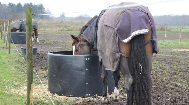 Anneau à foin pour chevaux au pré, ø 124–128 cm – Ok-Plast Hooi Ring Feeder