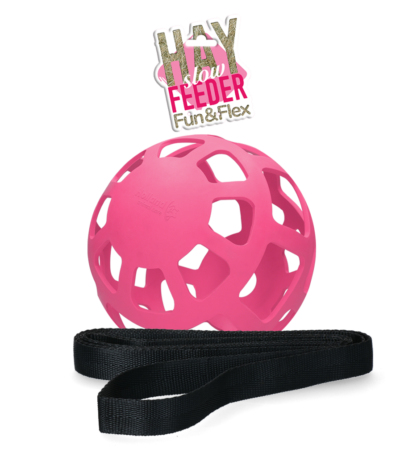 Balle à foin pour chevaux en caoutchouc naturel, rose, diamètre env. 22 cm – Hay Slow Feeder Fun & Flex