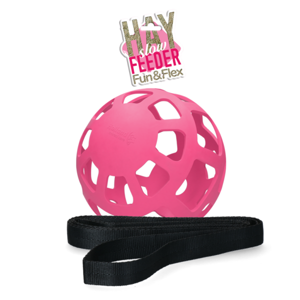 Balle à foin pour chevaux en caoutchouc naturel, rose, diamètre env. 22 cm – Hay Slow Feeder Fun & Flex