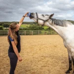 Pierre à lécher pour chevaux, comme récompense, 650 g – Horslyx Mini Original – Image 3