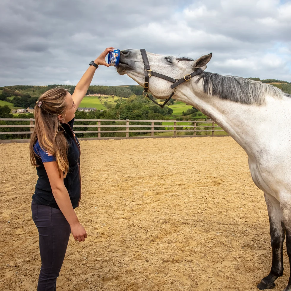 Pierre à lécher pour chevaux, comme récompense, 650 g – Horslyx Mini Original – Image 2