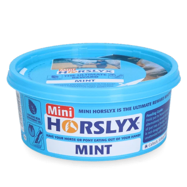Pierre à lécher pour chevaux, récompense, 650 g – Horslyx Mini Mint