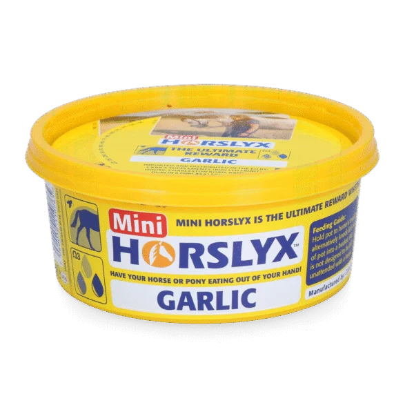 Pierre à lécher pour chevaux en récompense, 650 g – Horslyx Mini Ail