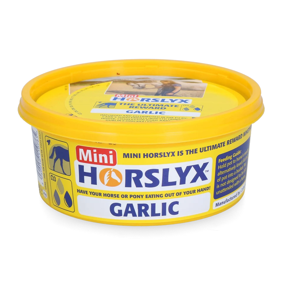 Pierre à lécher pour chevaux en récompense, 650 g – Horslyx Mini Ail – Image 1