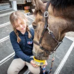 Pierre à lécher pour chevaux en récompense, 650 g – Horslyx Mini Ail – Image 2