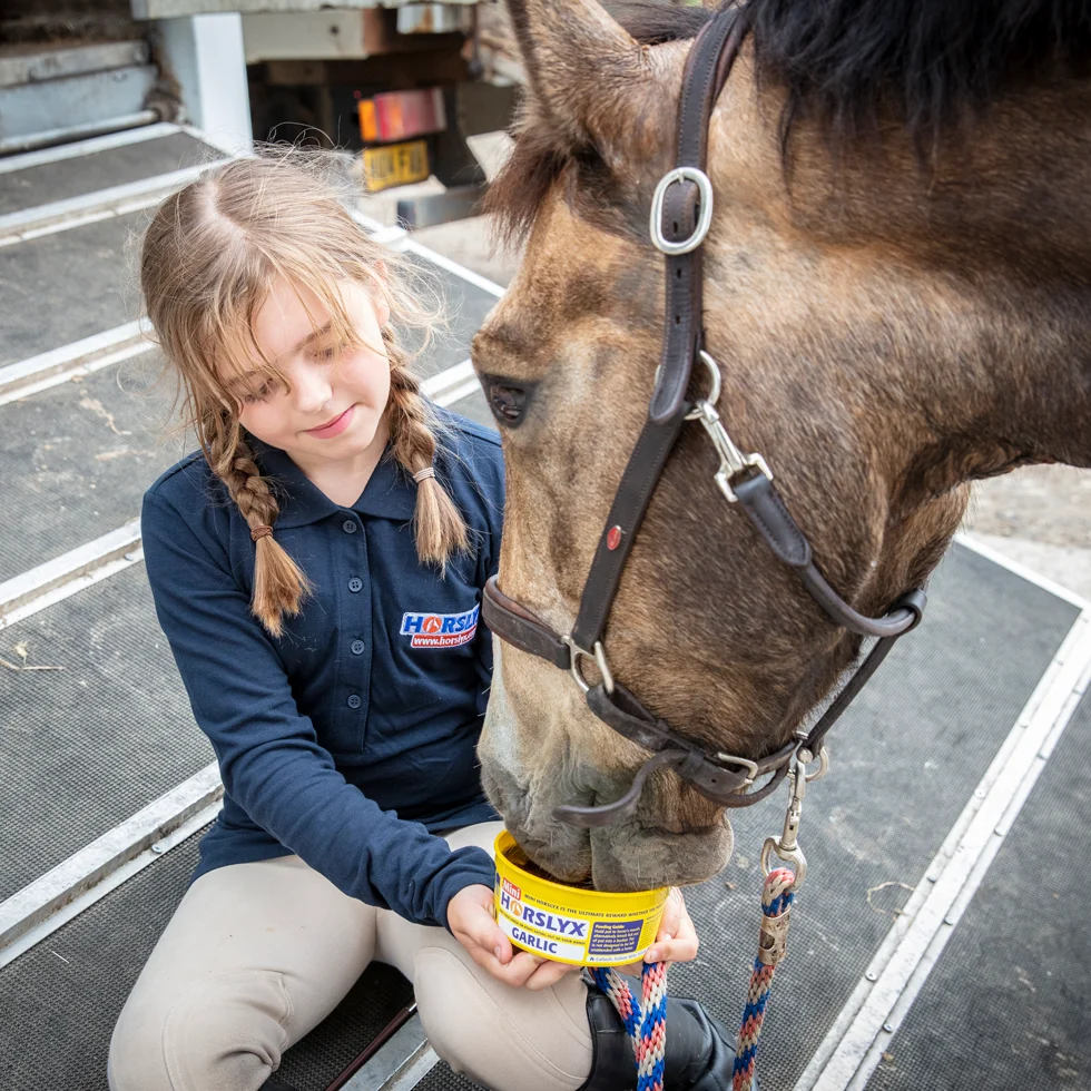 Pierre à lécher pour chevaux en récompense, 650 g – Horslyx Mini Ail – Image 2