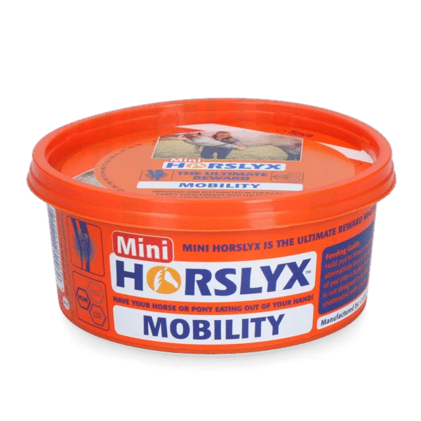 Pierre à lécher pour chevaux comme récompense, 650 g – Horslyx Mini Mobilité