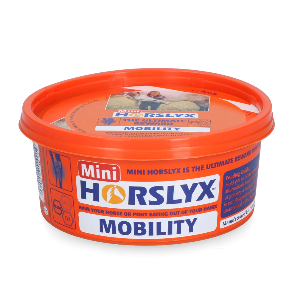 Pierre à lécher pour chevaux comme récompense, 650 g – Horslyx Mini Mobilité – Image 1