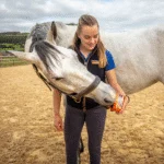 Pierre à lécher pour chevaux comme récompense, 650 g – Horslyx Mini Mobilité – Image 3