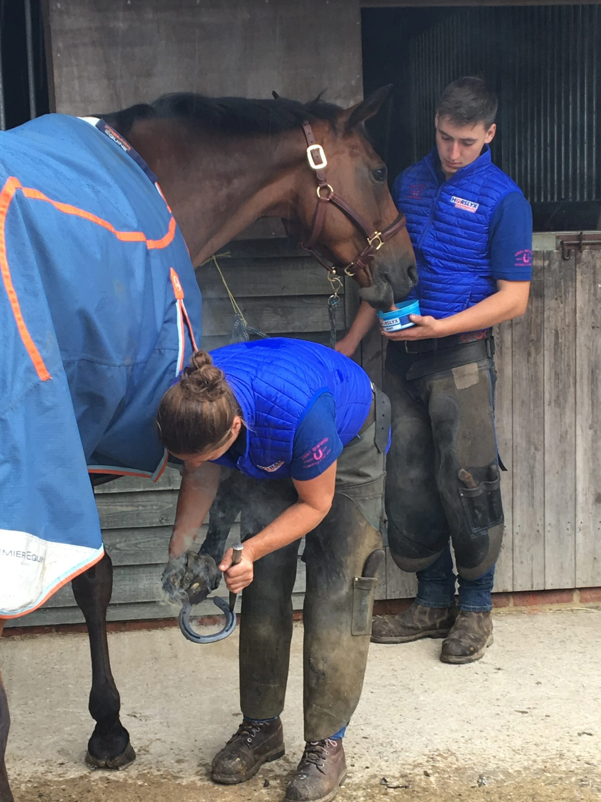 Pierre à lécher pour chevaux comme récompense, 650 g – Horslyx Mini Mobilité – Image 2