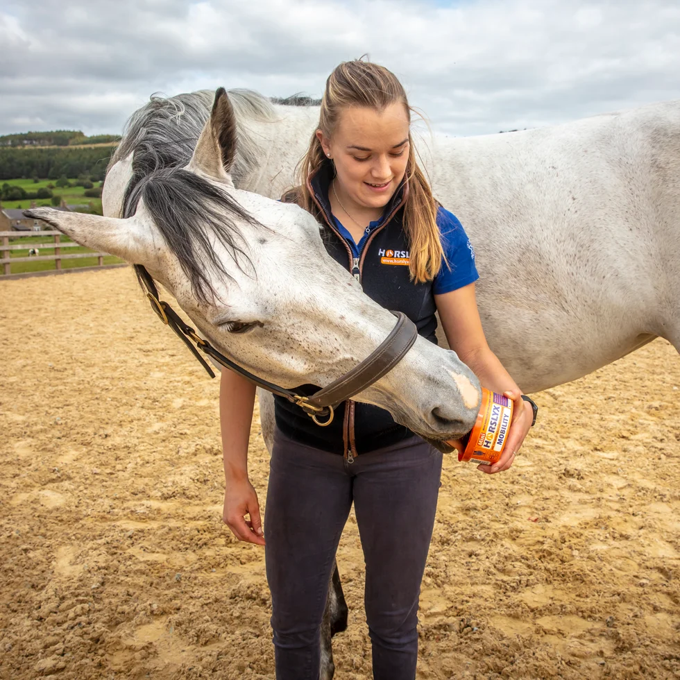 Pierre à lécher pour chevaux comme récompense, 650 g – Horslyx Mini Mobilité – Image 3