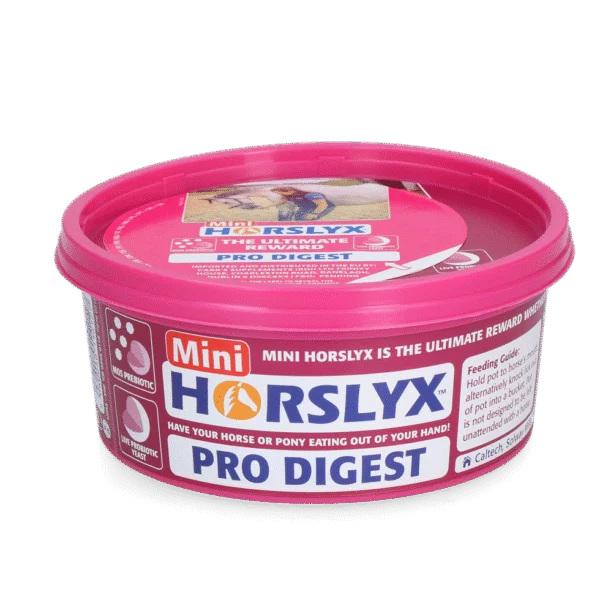 Pierre à lécher pour chevaux en guise de récompense, 650 g – Horslyx Mini Digestion