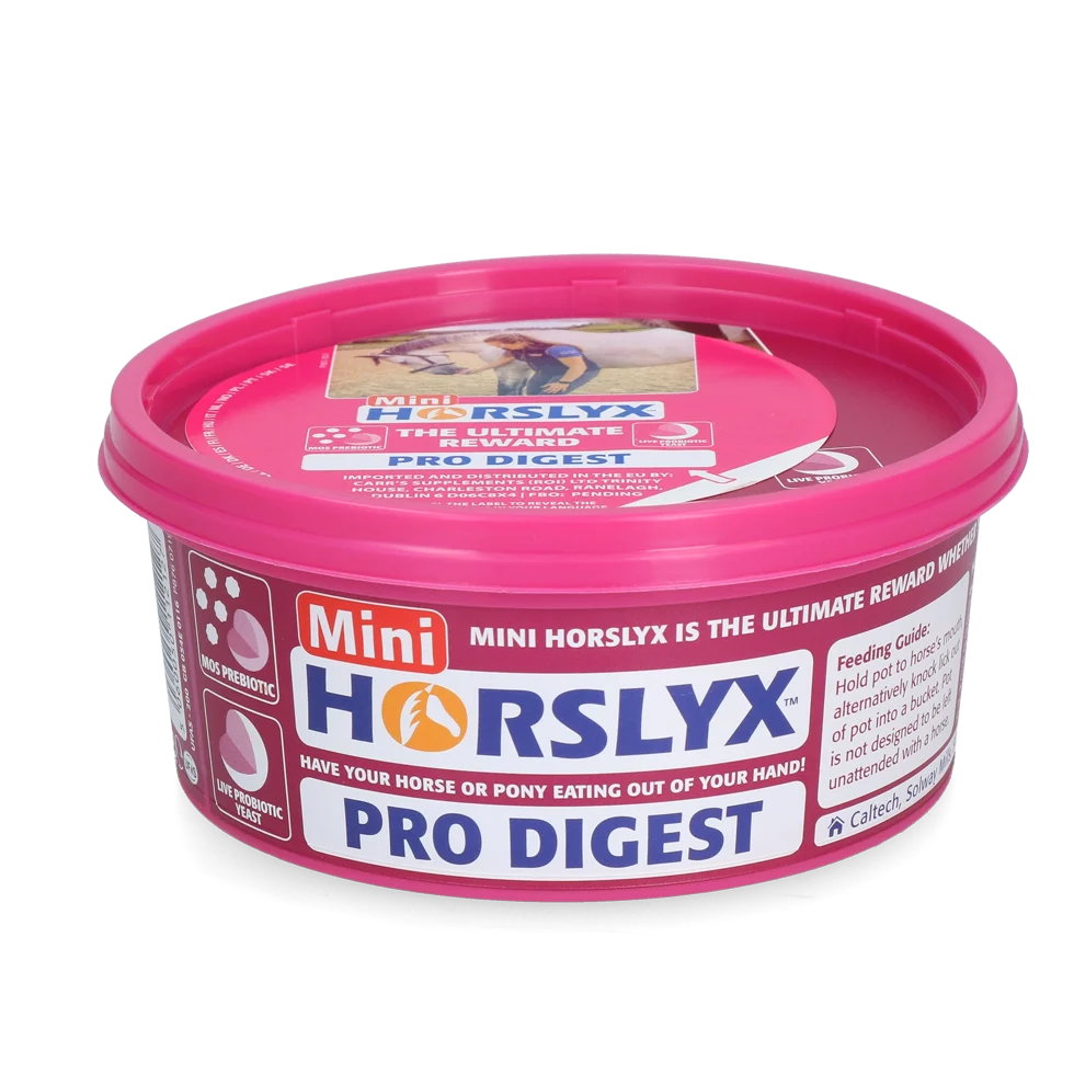 Pierre à lécher pour chevaux en guise de récompense, 650 g – Horslyx Mini Digestion – Image 1