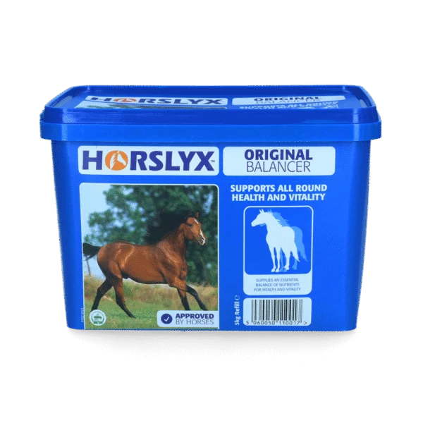 Pierre à lécher pour chevaux comme récompense, 5 kg – Horslyx Original