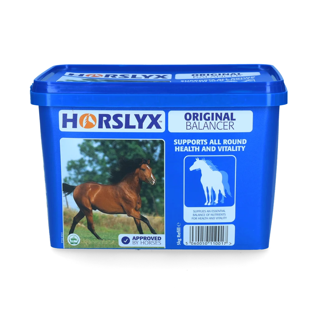 Pierre à lécher pour chevaux comme récompense, 5 kg – Horslyx Original – Image 1