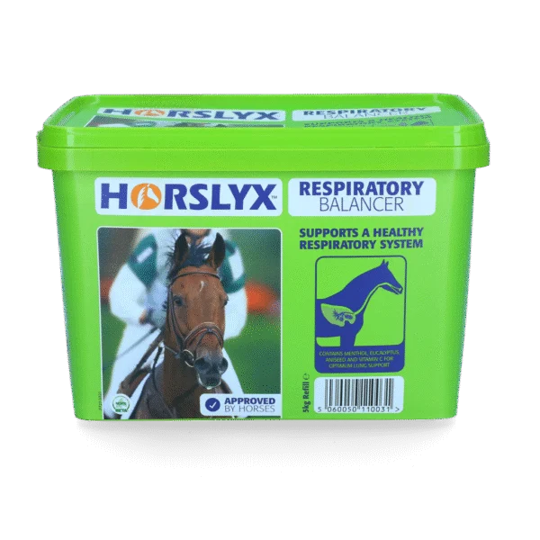 Pierre à lécher pour chevaux, comme récompense, 5 kg – Horslyx Respiratory Balancer