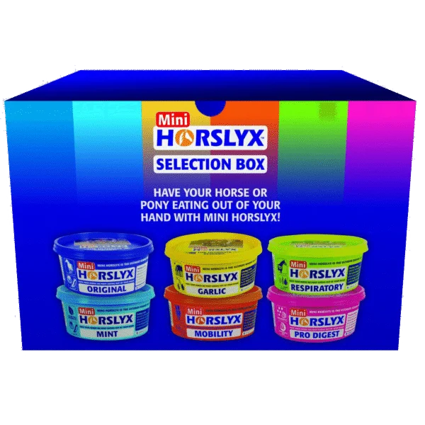 Pierres à lécher pour chevaux, en récompense, 6 x 650 g – Horslyx Mini Selection Box