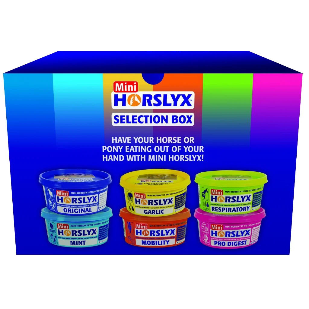 Pierres à lécher pour chevaux, en récompense, 6 x 650 g – Horslyx Mini Selection Box – Image 1