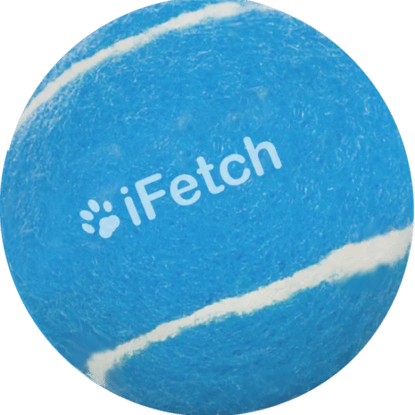 Balles pour chien – iFetch Too Balls
