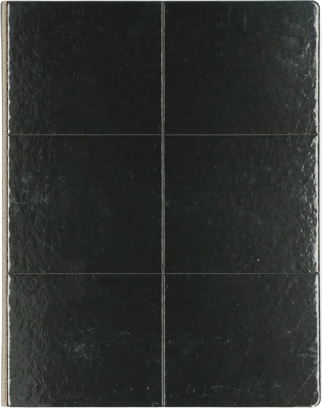 Plaque engluée pour insectes pliable en forme de livre, noire, 22 x 17 cm – Hofman Pest Control – Image 3