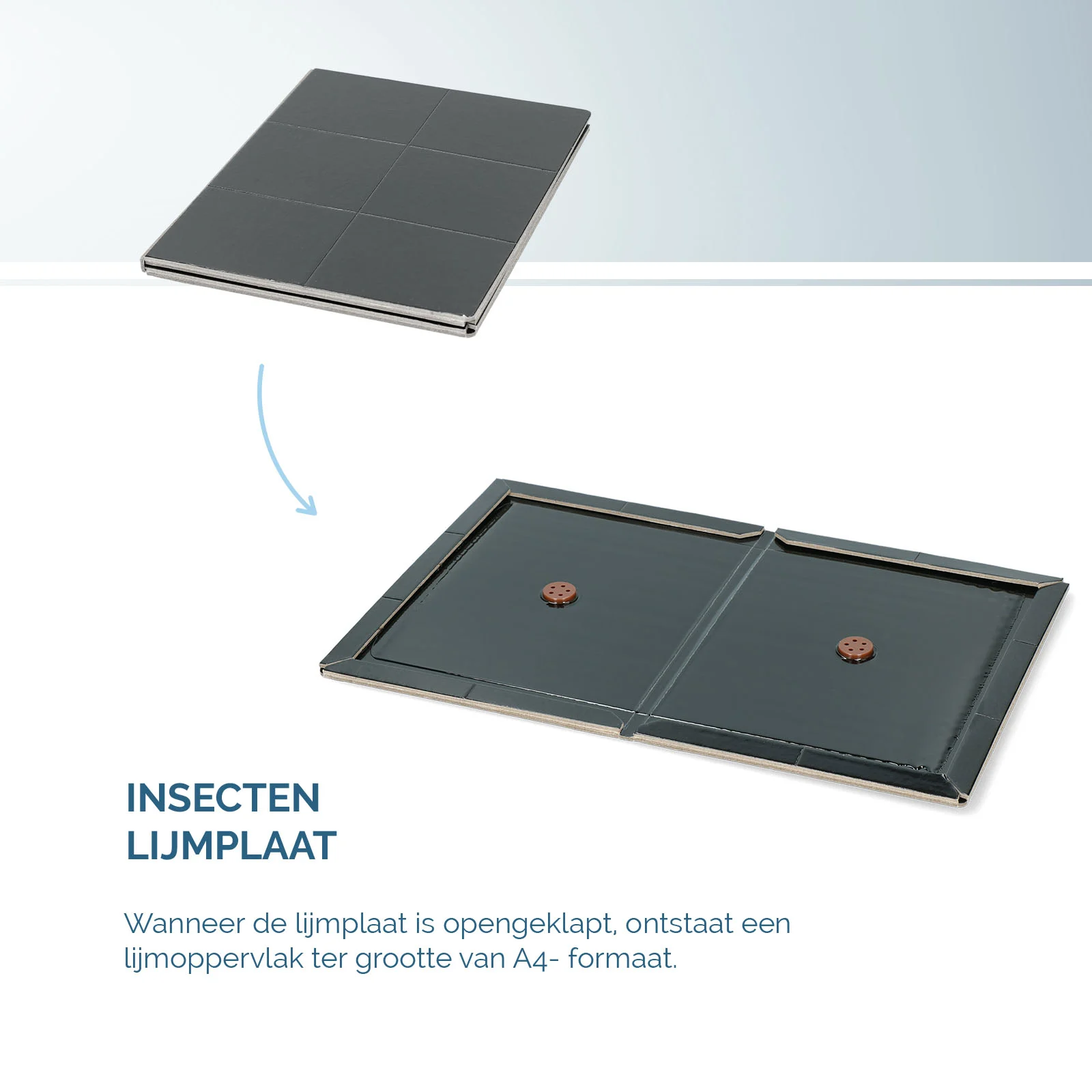 Plaque engluée pour insectes pliable en forme de livre, noire, 22 x 17 cm – Hofman Pest Control – Image 4