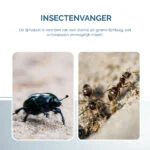 Plaque engluée pour insectes pliable en forme de livre, noire, 22 x 17 cm – Hofman Pest Control – Image 5