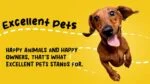 Complément alimentaire pour la peau et le pelage des chiens, 120 bouchées à mâcher moelleuses – Excellent Pets Skin & Coat Soft Chews – Image 3