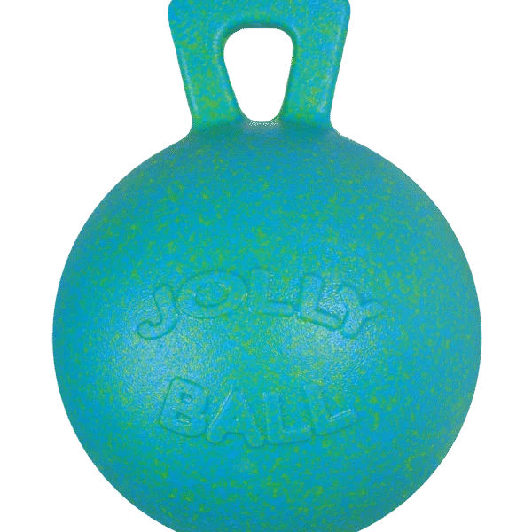 Balle de jeu pour cheval vert océan parfumée à la pomme, 25 cm – Jolly Pets Jolly Ball