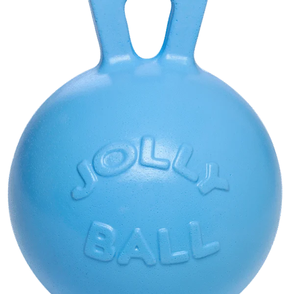 Balle de jeu pour cheval bleue parfumée à la myrtille, 25 cm – Jolly Pets Jolly Ball