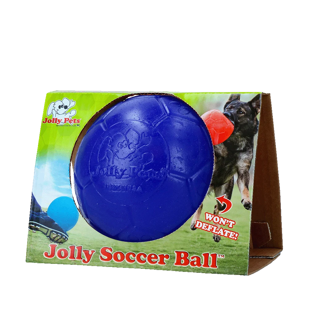 Balle flottante pour chien bleue, 15 cm – Jolly Pets Soccer Ball – Image 1