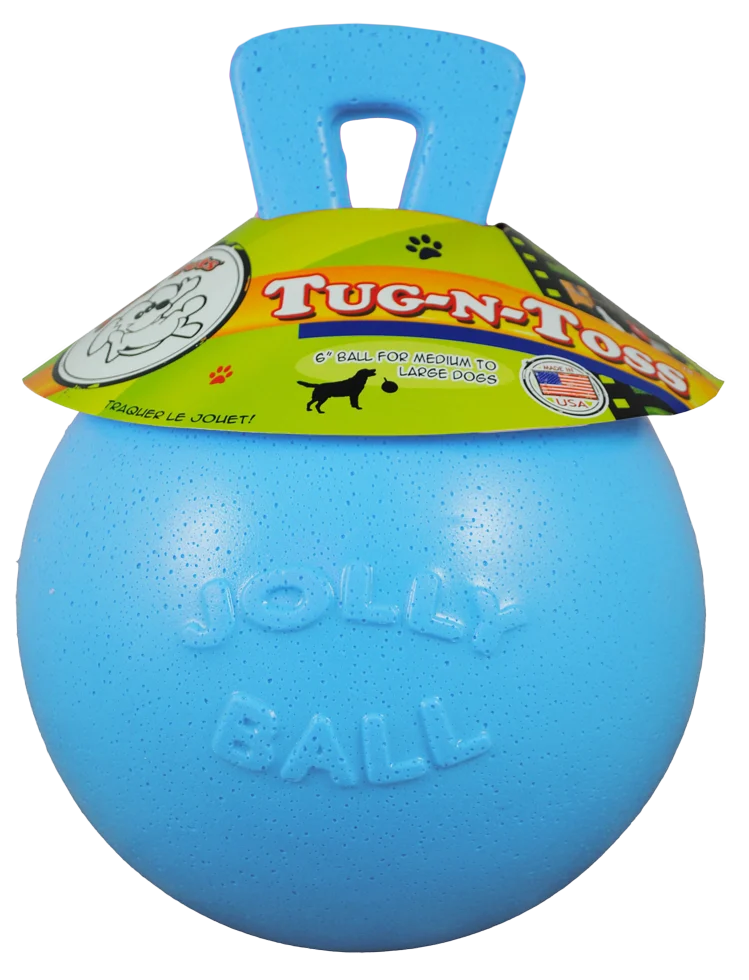 Balle flottante pour chien Myrtille M (15 cm) – Jolly Pets Tug-n-Toss – Image 1