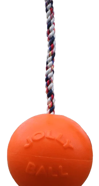 Balle pour chien avec corde, flottante, vanille L (20 cm) – Jolly Pets Romp-n-Roll