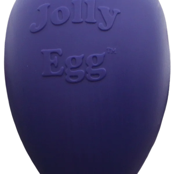 Œuf jouet pour chien en plastique, violet, 20 cm – Jolly Pets Egg
