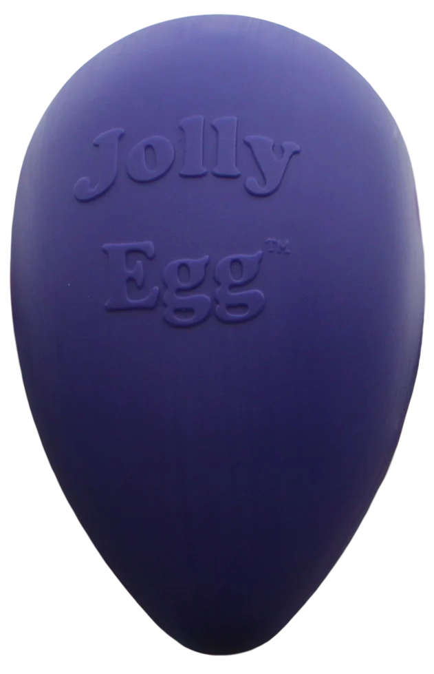 JOLL051S.png Œuf jouet pour chien en plastique, violet, 30 cm – Jolly Pets Egg – Image 1